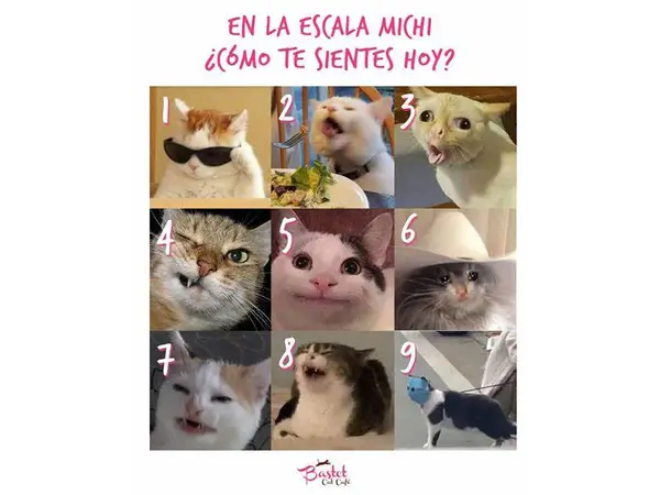 Michi Emociometro 
