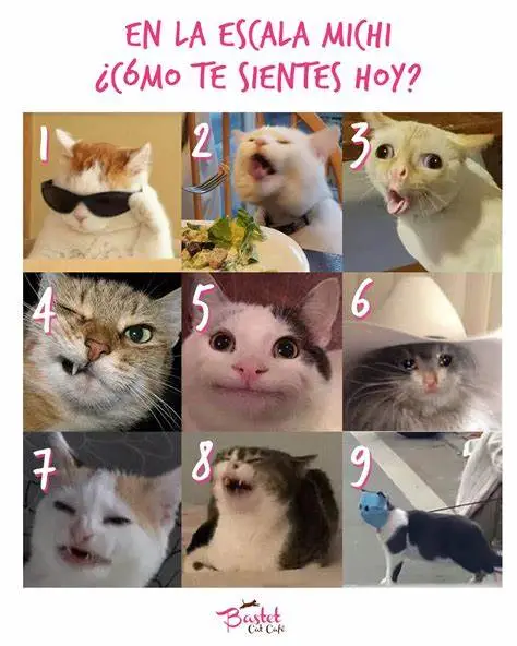 Michi Emociometro 