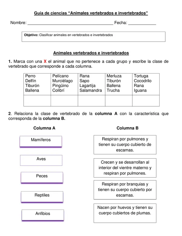 Guía "Animales Vertebrados e invertebrados" 2° año básico.