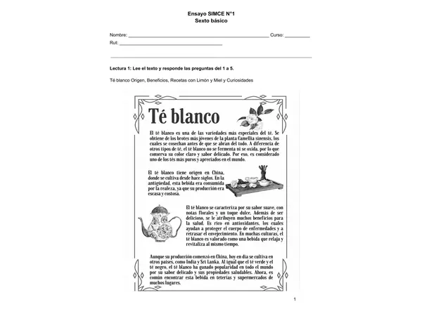 Ensayo SIMCE N.° 1 Comprensión Lectora | 6.º Básico | 35 Preguntas + Solucionario