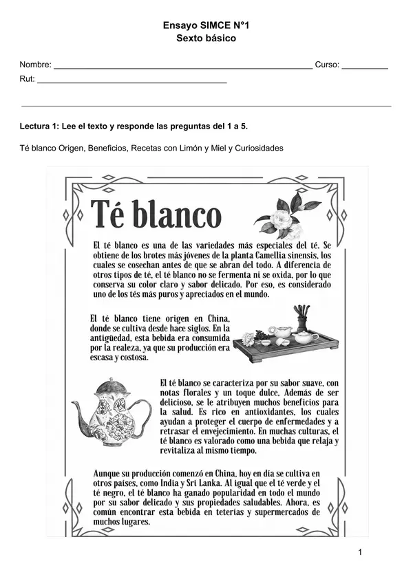 Ensayo SIMCE N.° 1 Comprensión Lectora | 6.º Básico | 35 Preguntas + Solucionario
