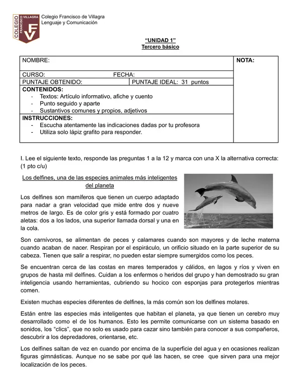 evaluación tercero básico