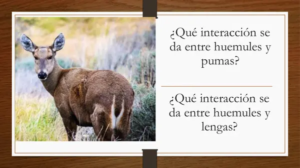 Unidad 2: Organismos en ecosistemas 
