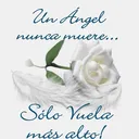 ALMA GUADALUPE PAEZ REYES - @alma.guadalupe.paez.r