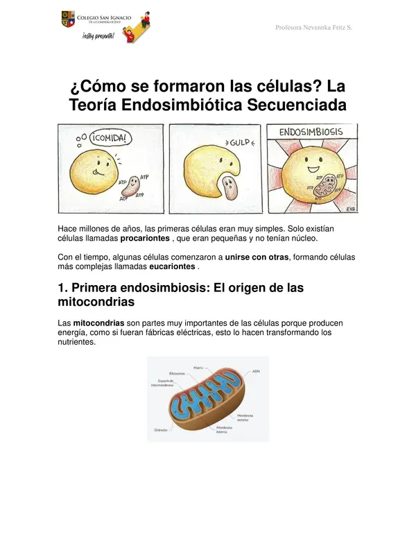 Teoría Endosimbiótica secuenciada (TES)