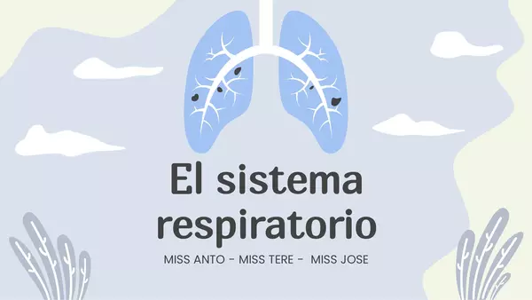 El sistema respiratorio