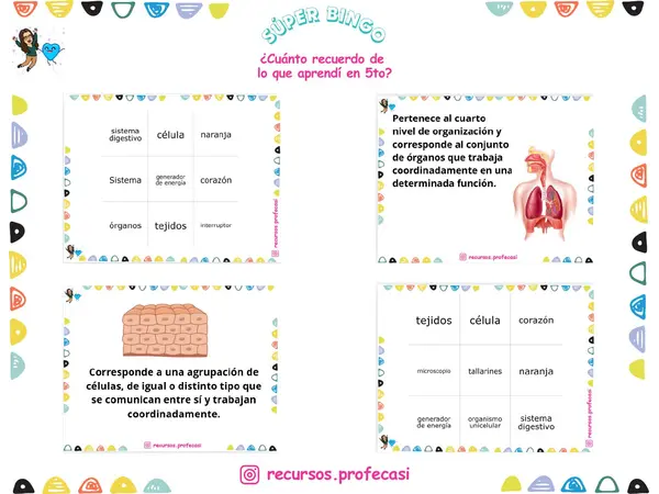 BINGO ¿CUÁNTO RECUERDO DE 5TO BÁSICO?