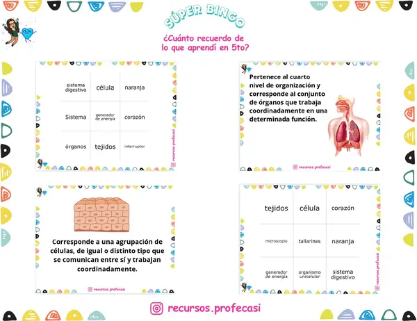 BINGO ¿CUÁNTO RECUERDO DE 5TO BÁSICO?