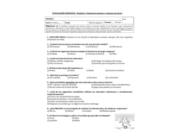 Evaluación cs naturales: sistema locomotor y nervioso (4° básico)