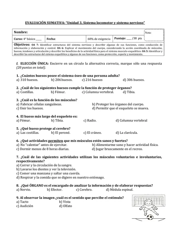 Evaluación cs naturales: sistema locomotor y nervioso (4° básico)