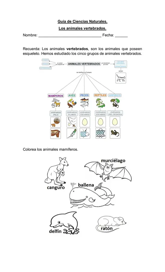 guía animales vertebrados 