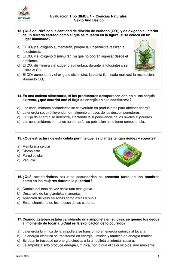 Ensayo Tipo SIMCE 6° Ciencias Naturales n° 1. 