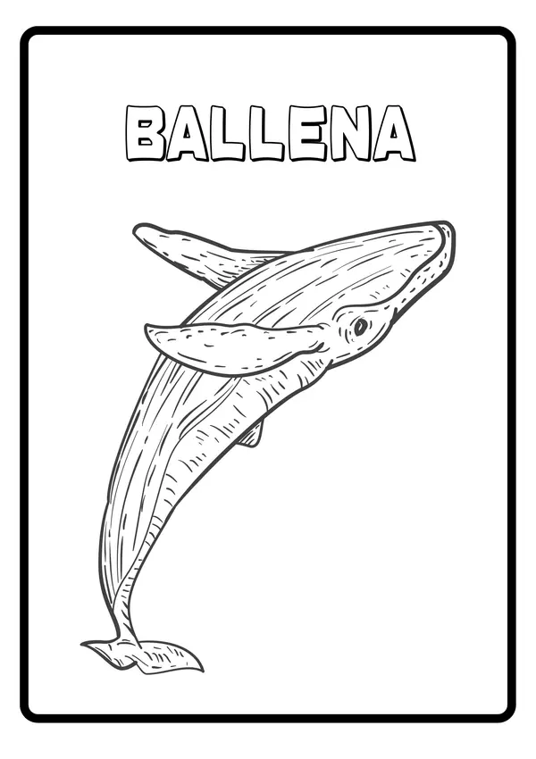 Minilibro para colorear ballenas y delfines