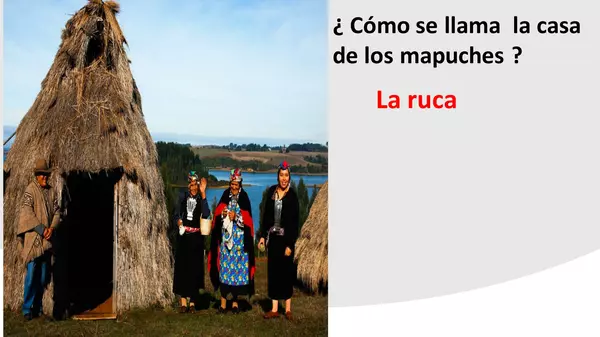 LOS MAPUCHES 