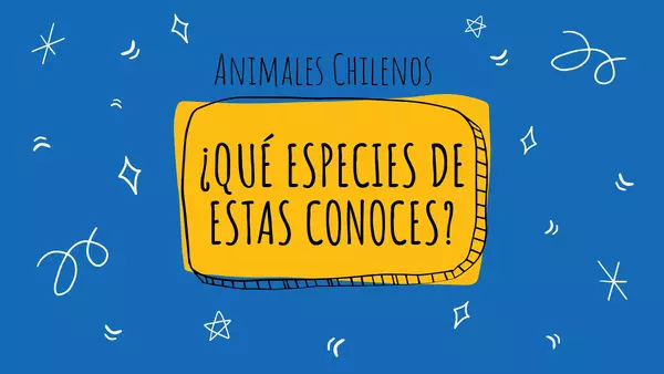 JUEGO ¿QUÉ ESPECIES CHILENAS CONOCES?- versión 1
