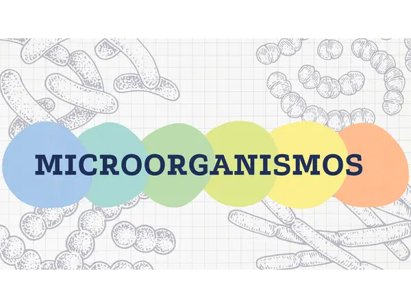 Bacterias, virus y hongos (microorganismos)