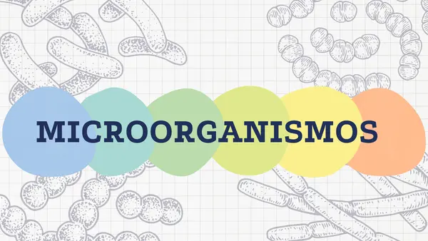 Bacterias, virus y hongos (microorganismos)