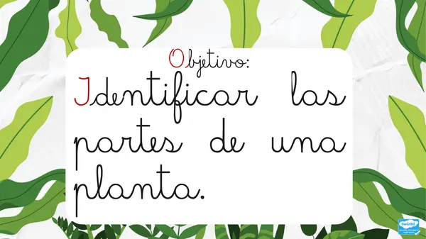 Unidad "Las plantas"