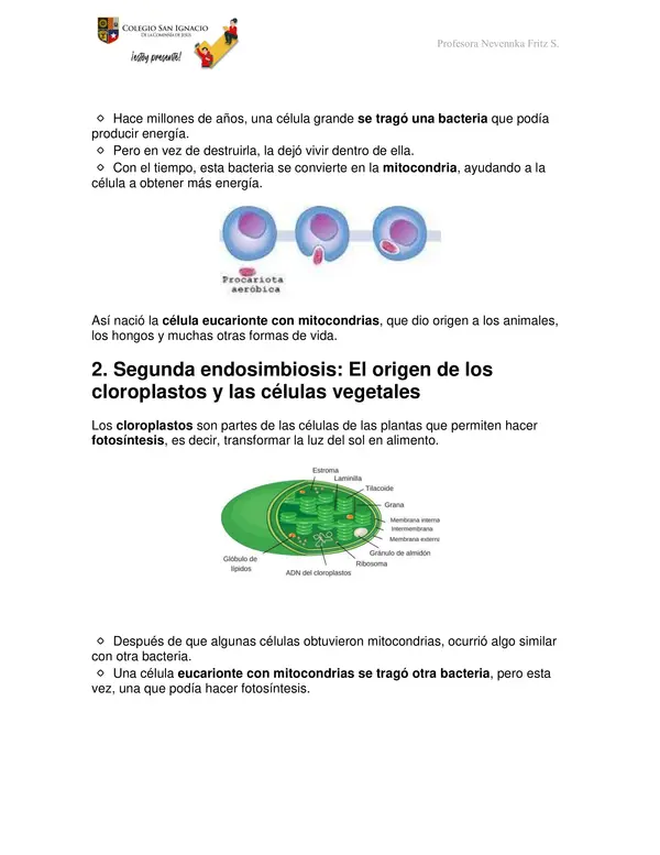 Teoría Endosimbiótica secuenciada (TES)