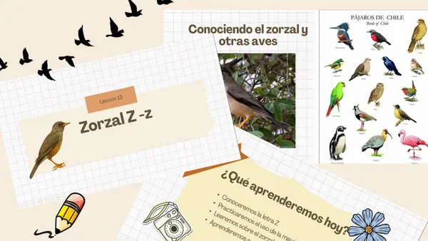 Lección 13: Zorzal