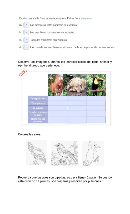 guía animales vertebrados 