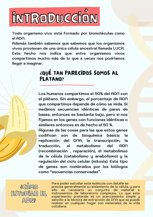 Experimento: extracción del ADN de un plátano