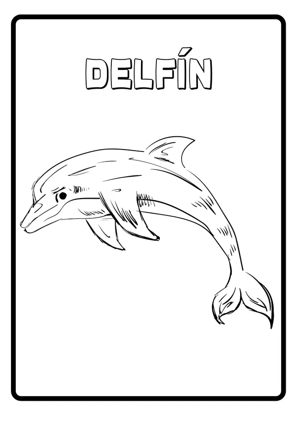 Minilibro para colorear ballenas y delfines