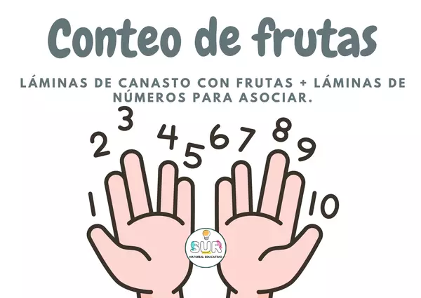 Tarjetero conteo de frutas y tarjetas de números