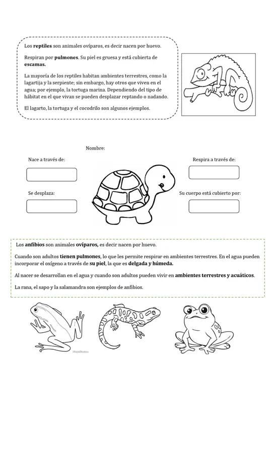 guía animales vertebrados 