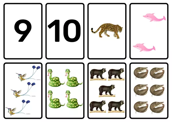 Flashcard de número cantidad ANIMALES DE LA SELVA PERUANA