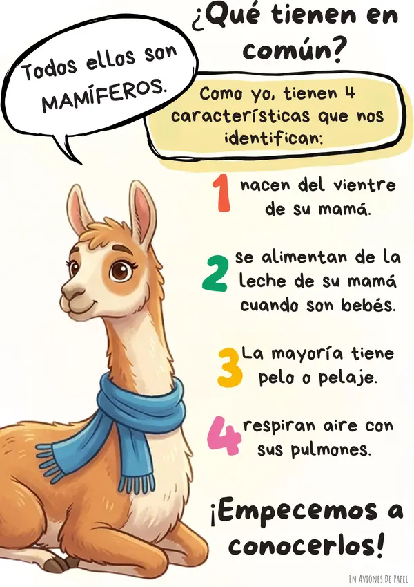 Ilustraciones coloreables Mamíferos de Chile