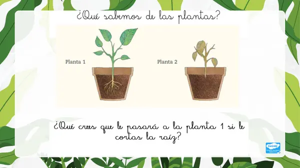Unidad "Las plantas"