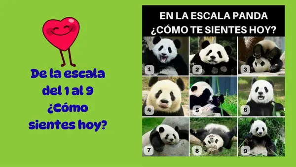 Presentación de Clase de conteo y sumas del 0 al 20 Matemática primer año básico 