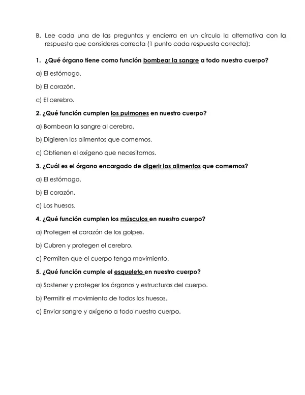 Evaluación el cuerpo humano: órganos vitales 