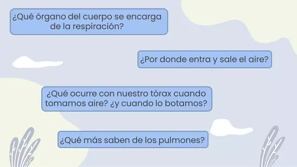 El sistema respiratorio