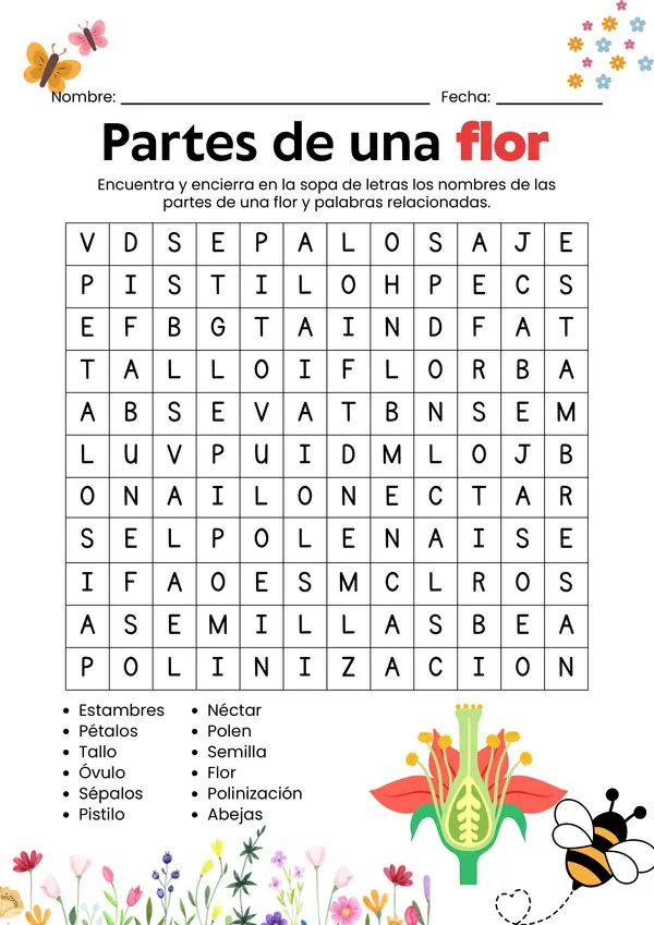 Sopa de letra "Partes de una flor