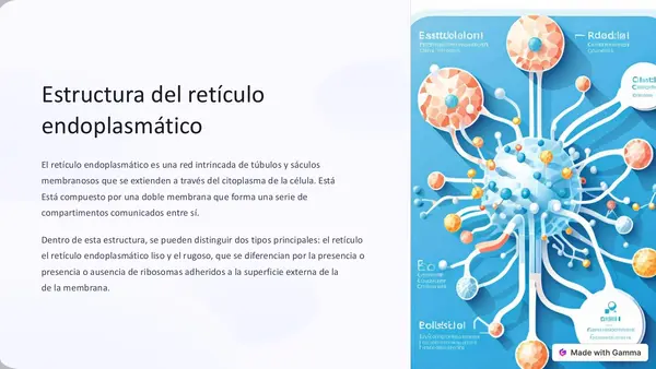 Retículo endoplasmático