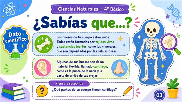 Sistema  locomotor 