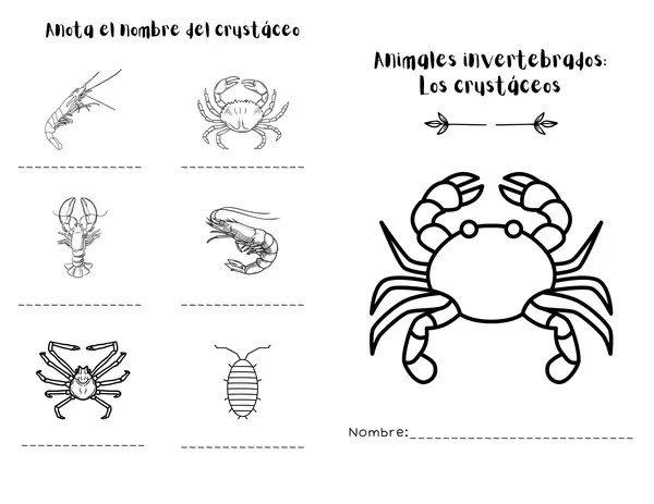 Cuadernillo invertebrados: los crustáceos