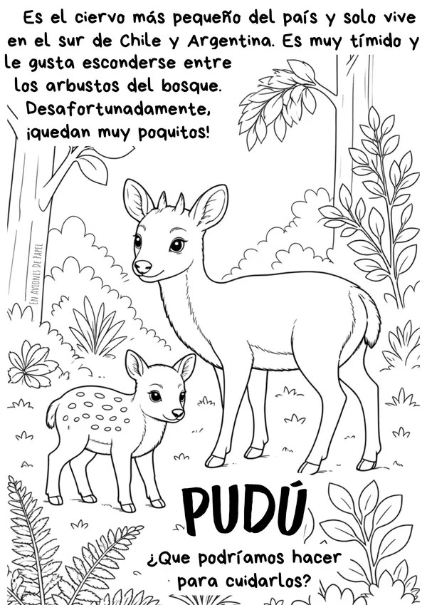 Ilustraciones coloreables Mamíferos de Chile