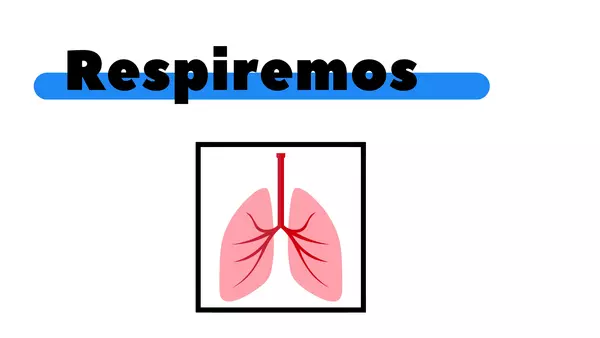 Repaso adición y sustracción con recta numérica