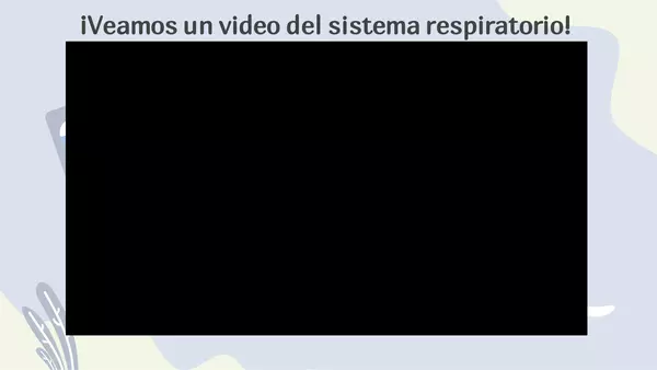 El sistema respiratorio