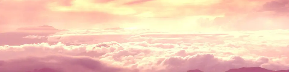 Camila Sepúlveda - @camisepulvedaa cover photo