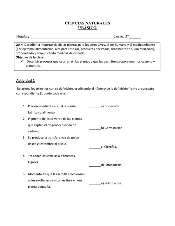 prueba de la polinización 
