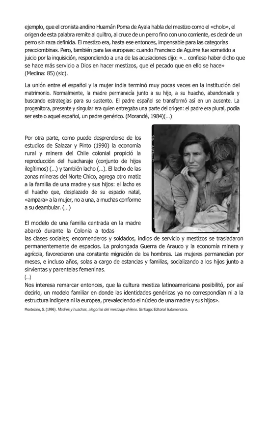 Análisis ensayo "Madres y huachos"