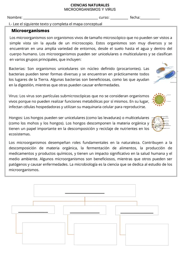  Ficha Ciencias Naturales - Microorganismos y Virus - Bacterias, Hongos y más