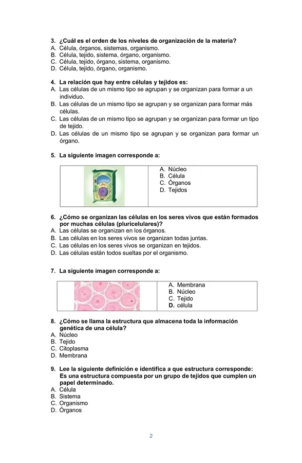 ciencias natuirales la celula y el cuerpo humano 