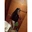 Catary Nayadeth Pasten Castillo - @catary.nayadeth.paste
