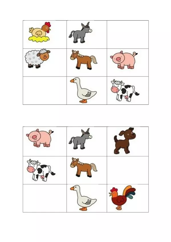 Bingo - animales