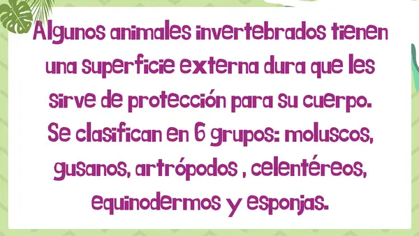 Animales invertebrados
